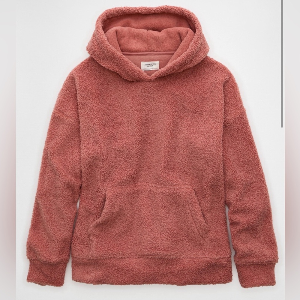 American Eagle Outfitters Plush Sherpa Hoodie in Dusty Rose